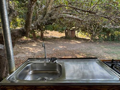 a sink with a faucet next to a tree at El mangal B&B in Suchitoto