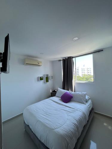 a bedroom with a bed with a purple pillow at Hotel Sun Suite in Barranquilla