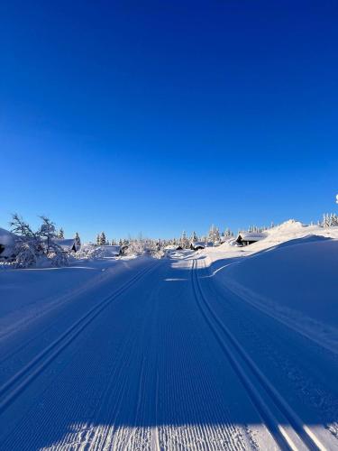 Το Koselig hytte - Trysilfjellet nært til sykkel- og turstier - 4 soverom, 2 bad, badstue, fiber bredbånd og Elbillader τον χειμώνα