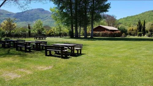 un grupo de mesas de picnic y bancos en un campo en LUCIA HOME CASA VACANZE en Santa Maria del Molise