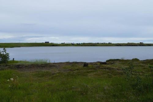 a large body of water with grass and a field at Lakeview cabin near Kirkjubaejarklaustur in Kirkjubæjarklaustur