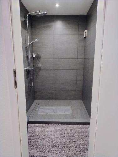 a bathroom with a shower with a glass door at Ferienwohnung am Egelsee in Hochberg