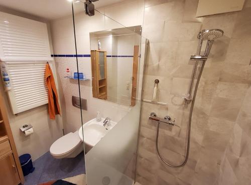 y baño con ducha, aseo y lavamanos. en B & B Gästehaus Schmidt, en Lichtenberg