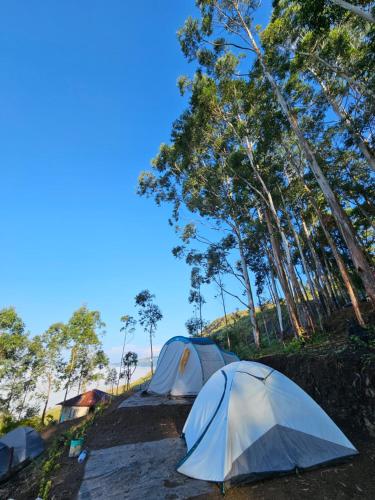 two tents are set up in a field with trees at Cloud Camping. in Munnar