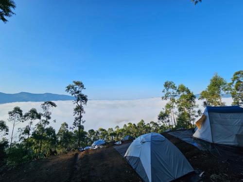 a group of tents on top of a hill at Cloud Camping. in Munnar