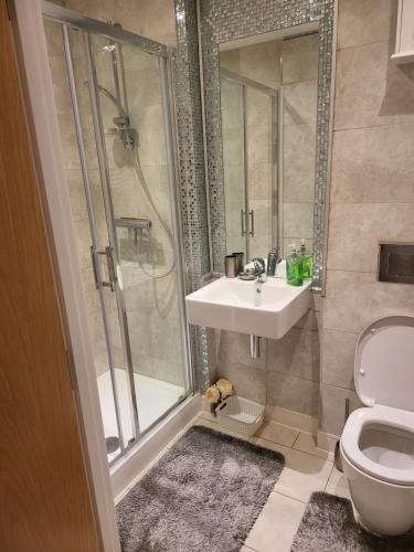 a bathroom with a shower and a sink and a toilet at Alderhouseplace in Maidenhead