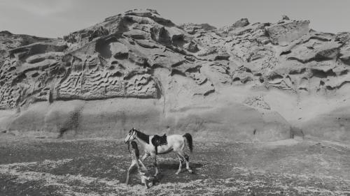 a horse standing in front of a rocky mountain at Magma Resort Santorini, In The Unbound Collection By Hyatt in Vourvoulos