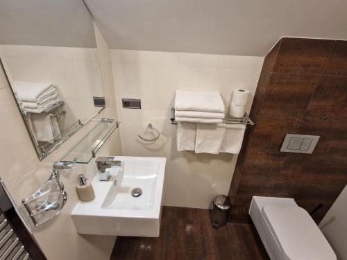 a bathroom with a sink and a toilet and a mirror at Chata Marta in Boží Dar