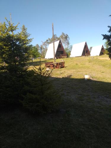 Gallery image of Ośrodek Wypoczynkowy Skierka - Gabriela Piotrowska, Grabowo Parchowskie 90, Parchowo77-124 in Sulęczyno
