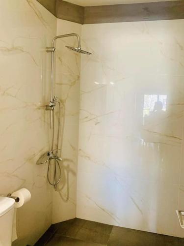 baño con ducha y puerta de cristal en Βίλα Βασιλική en Elassona