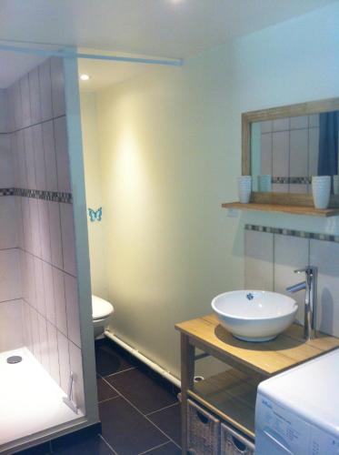 une salle de bain avec un lavabo et des toilettes dans l'établissement Gite 