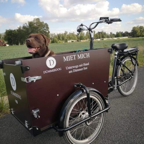 a dog is sitting in a bike cart at Seeliebe, 300 Meter zum Wasser, mit Terrasse und Garten in Lembruch
