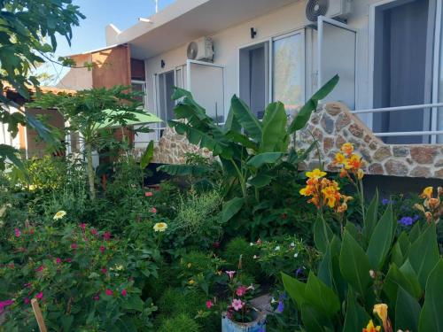 Anemomylos Apartments