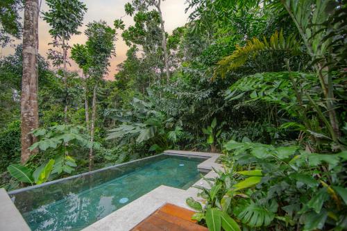 a swimming pool in the middle of a forest at Chachagua Rainforest Hotel & Hot Springs in Fortuna