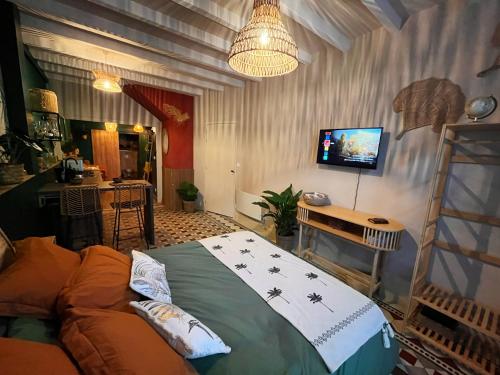Travel Room Bordeaux : Amazo'nid : غرفة معيشة فيها سرير وتلفزيون