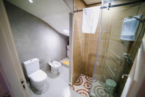 La petite salle de bains est pourvue d'une douche et de toilettes. dans l'établissement Villa À louer AGLOU PLAGE TIZNIT, à Aglou