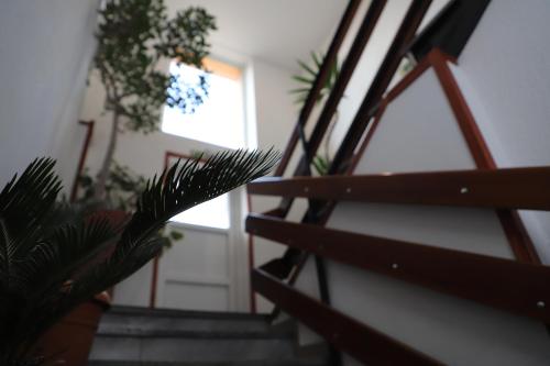 a set of stairs with plants in front of a door at Kolík Apartmány in Bohumín