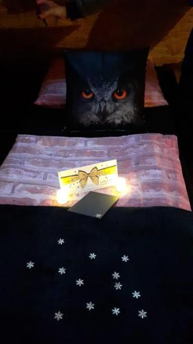 a black cat is sitting on a bed with a box at Zaciszny Zakątek Zawoja in Zawoja