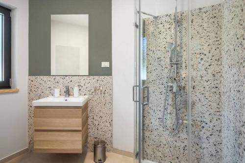 een badkamer met een douche en een wastafel bij Villa ZEL in Pazin