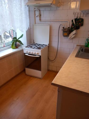 Cuisine ou kitchenette dans l'établissement Sunflower