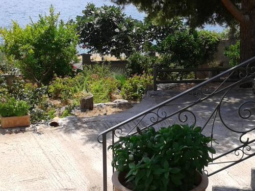 a set of stairs with a plant in a pot at Niriides in Galaxidhion