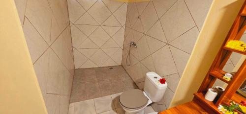 a small bathroom with a toilet and a shower at Akivai Lodge - Maison de vacance Ua-Pou Marquises in Hakamui