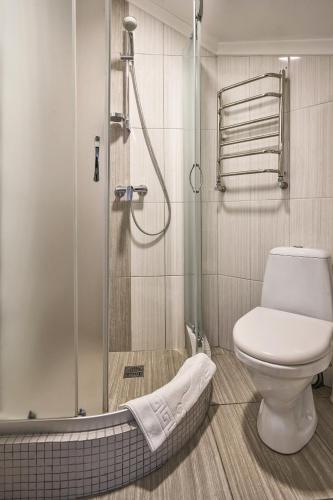 a bathroom with a toilet and a shower at Zaporizʹka Sich in Bukovel