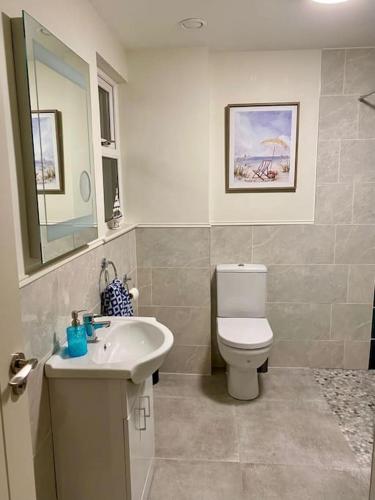 a bathroom with a white toilet and a sink at Modern family home in Castleisland