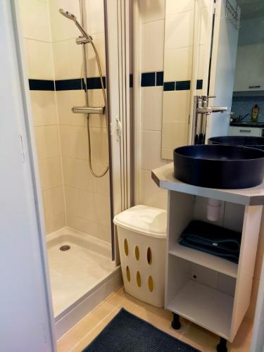 une salle de bain avec un lavabo et une douche dans l'établissement T2 entre rivière et château centre Vitré, à Vitré