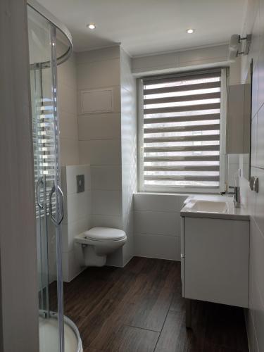 W łazience znajduje się toaleta, umywalka i prysznic. w obiekcie Apartament BESKIDLOVE w Węgierskiej Górce