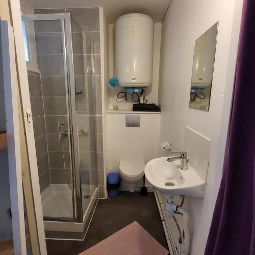 une salle de bain avec une douche, des toilettes et un lavabo dans l'établissement LE STUDIO DE L'ILE, à Nantes