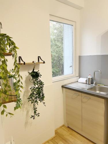 une cuisine avec un évier et une fenêtre dans l'établissement L'industriel de Kléber - Gare - Netflix - Calme, à Toulouse