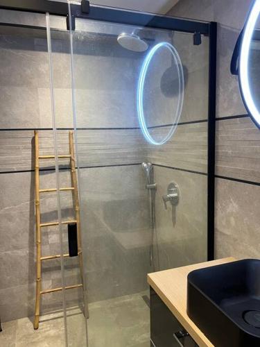 La salle de bains est pourvue d'une douche avec une échelle et un miroir. dans l'établissement Bel appartement pieds dans l’eau, à Sète