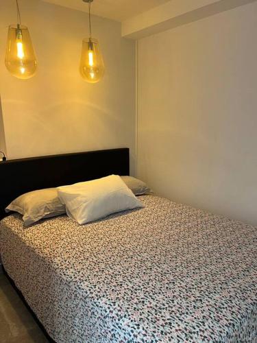 - une chambre avec un lit avec deux oreillers et deux lumières dans l'établissement Bel appartement pieds dans l’eau, à Sète