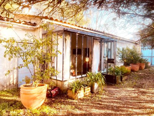 a house with potted plants in front of it at *L'Orangeraie* Maison avec jardin, tennis, parking in Nîmes