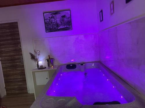 Gambar di galeri bagi Lâcher-prise SPA di Bouillargues