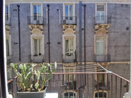 Two Rooms Bellini near Teatro Massimo photo 21
