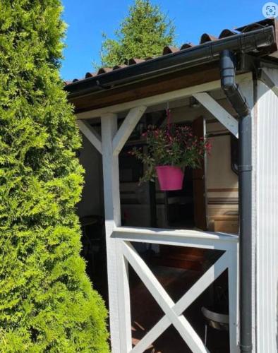 a porch with a white door with a potted plant at Tropikalny Zakątek in Sarbinowo