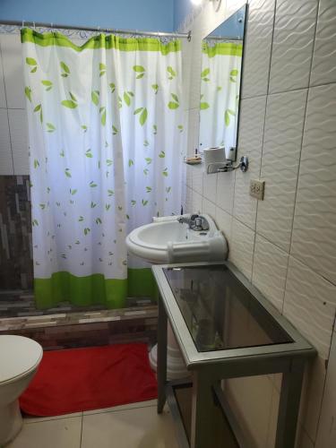 a bathroom with a sink and a shower curtain at Wizzy Apartment White River in Ocho Rios