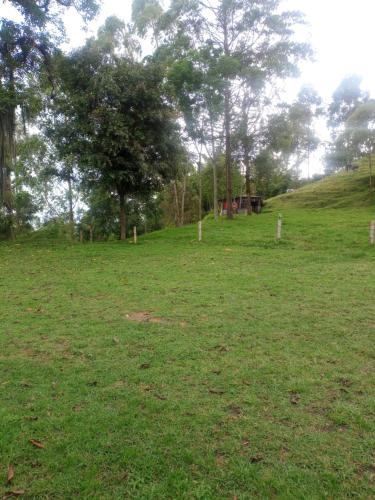 Zahrada ubytování Hostal Las Hamacas del Bosque