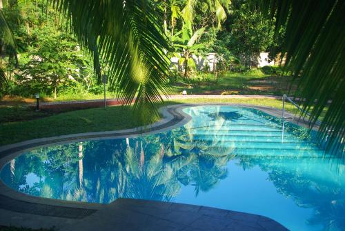 a pool with a palm tree reflecting in the water at King Coconut Lodge in Habaraduwa Central