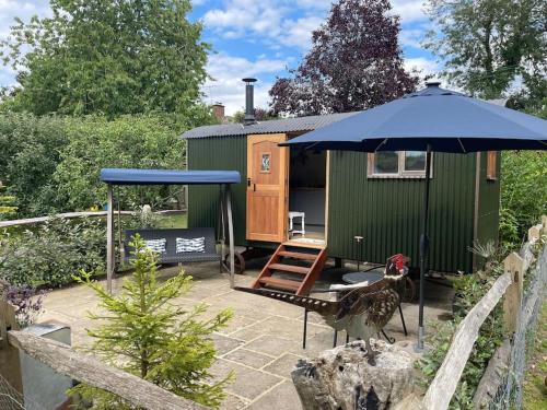 a green building with a giraffe and an umbrella at Forest View Shepherd Hut in Ewhurst