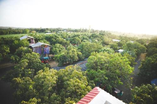 an overhead view of a forest of trees with a house at Gokul farm house in Sasan Gir