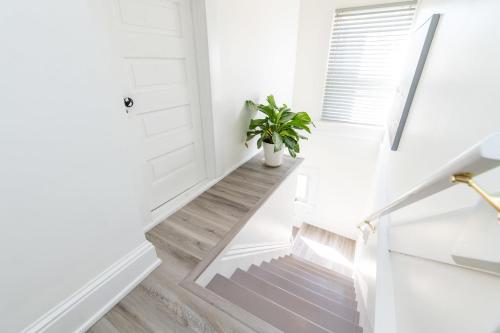 a stairwell with a plant in a white hallway at Loft on Capital - Ideally located to Distilleries in Frankfort