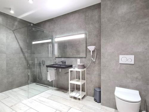 a bathroom with a shower and a toilet and a sink at Villa Blue Garden B&B Vlaamse Ardennen nabij Pairi Daiza in Geraardsbergen