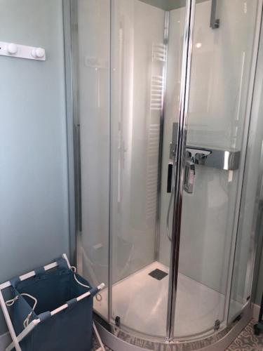 a shower with a glass door in a bathroom at Les Hortensias in Amiens