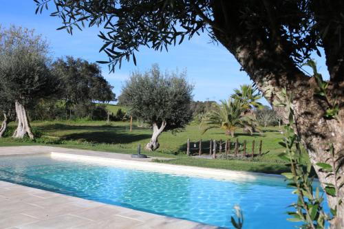a swimming pool in a yard with trees at Monte das Hortas Velhas in Viana do Alentejo