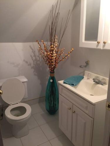 a bathroom with a toilet and a vase with flowers in it at Rustic & Modern Chalet 32 Acre of Land in Saint-Paulin