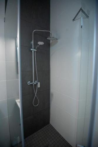 a shower with a shower head in a bathroom at Vista do Baixio in Vila Franca do Campo