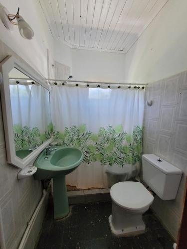a bathroom with a green sink and a toilet at Departamento Castello in El Bolsón